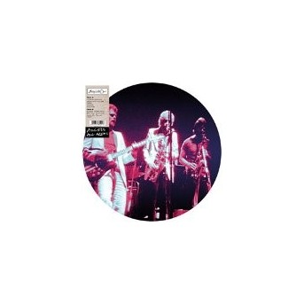 Access All Areas - Picture Disc 1 LP/Vinyl