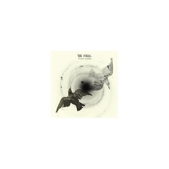 Distance Inbetween - LP/Vinyl