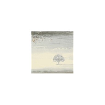 Wind And Wuthering - LP/Vinyl