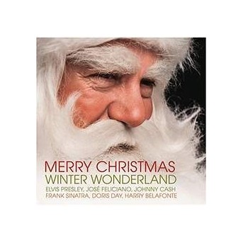 Merry Christmas - Winter Wonderland