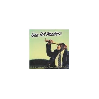 One Hit Wonders - 2CD
