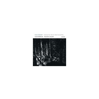 Franz Schubert - Fantasie C-Dur/Rondo H-Moll/Sonate A-Dur