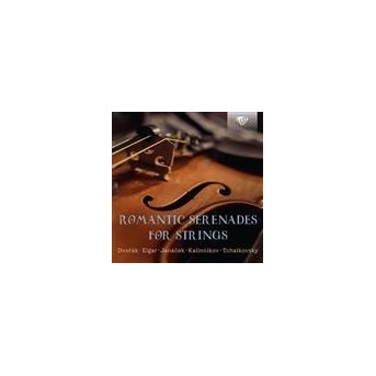 Romantic Serenades For Strings / Romantische Streicherserenaden - 5 CDs