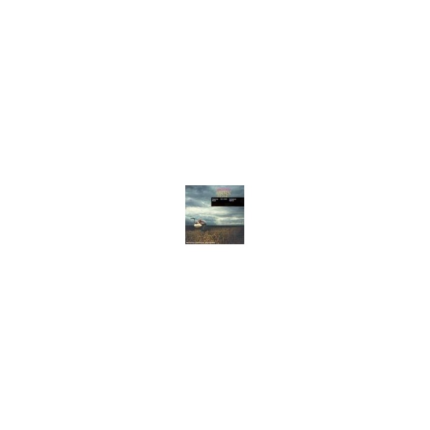 A Broken Frame (SACD Hybrik) 2-CD